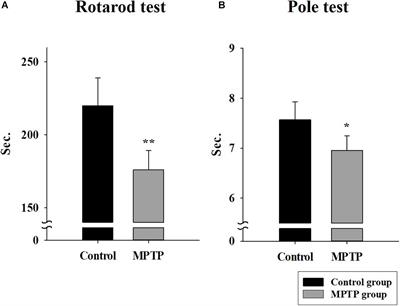 Triadin Decrease Impairs the Expression of E-C Coupling Related Proteins in Muscles of MPTP-Induced Parkinson’s Disease Mice